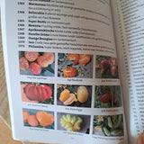 Buch "Miches Tomatenvielfalt" 2te Auflage von 2023
