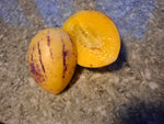 Binenmelone/Pepino "Solanum muricatum"