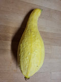 Zucchini "Yellow  Crookneck"