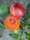 -16??- "Sgt. Pepper’s Strawberry Ananas"