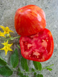 -0107- ﻿Salattomate „Shimmeig Creg“