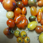 Miches Tomatenmischungen