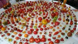 Miches Tomatenmischungen