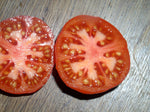 -0290- „RAF-Tomate“