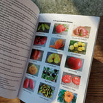 Buch "Miches Tomatenvielfalt" 2te Auflage von 2023