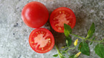 6er Samenset Historische Tomaten